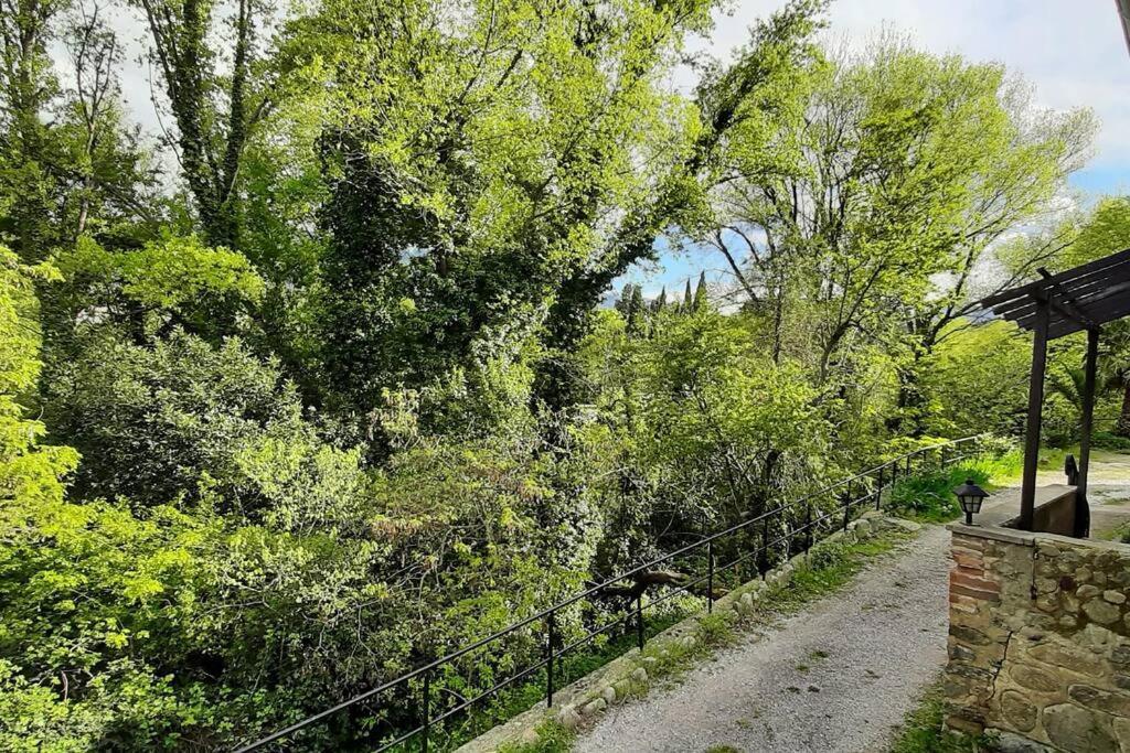 Gîte de charme dans Mas Catalan Prades  Extérieur photo