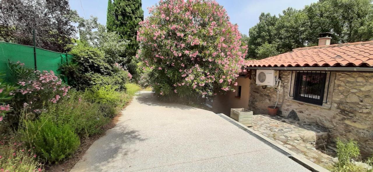 Gîte de charme dans Mas Catalan Prades  Extérieur photo
